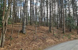 Panorama Drive, Todd, NC 28684