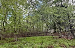 355 Fir Lane, Thornhurst, PA 18424