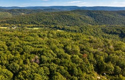 Forest Road 2539, Belleview, MO 63623