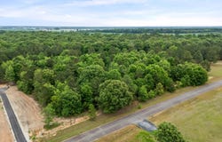Sylvan Grove Road, Stapleton, GA 30823