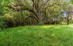 6518 N Fraser St., Georgetown, SC 29440