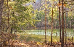 Bob Cat Trail, Dunlap, TN 37327
