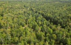 W Appleton Road, Appleton, ME 04862