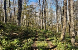 Heatherland Lane lot: 14, Halcottsville Twp, NY 12438