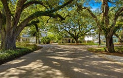 919 Palmetto St., Georgetown, SC 29440