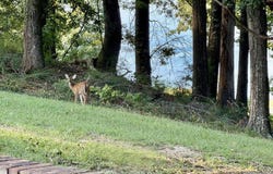 111 Choctaw Drive, Eufaula, AL 36027