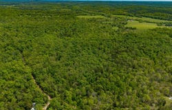 000 Private Rd, Drury, MO 65638