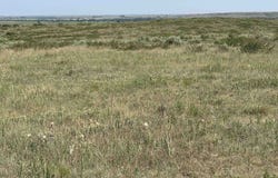 E County Rd 49, Shattuck, OK 73858