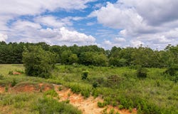 SC 72 Highway, Cross Hill, SC 29332