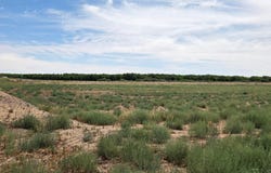 6525 Valle Del Rio Drive, La Mesa, NM 88044