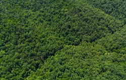 TBD Laurel Run Rd, Rosedale, WV 26636