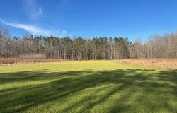County Road 35, Carrollton, MS 38917