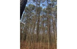 Old River Road, N Tract, Fork, SC 29543