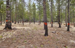 57626 CULTUS Ln, Sunriver, OR 97707