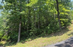 Whisper Ridge Court, Hiawassee, GA 30546