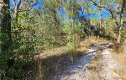 BERRYHILL Drive, WEBSTER, FL 33597