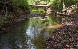 303 Ted Embry Road, Kuttawa, KY 42055