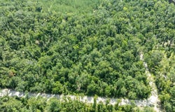 SW DRAGON WAY, Jasper, FL 32052