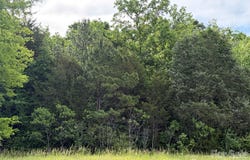 59 AC Lancaster Hwy, Chester, SC 29706