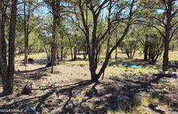 1270 E Alimos Way, Williams, AZ 86046