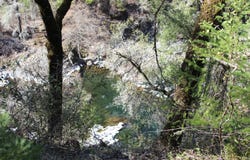 Fenders Ferry Road, Round Mountain, CA 96084