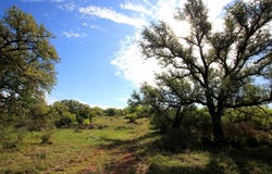 2976 Lower Willow Creek Road, Art, TX 76820-0000