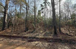 CR 2733, Marietta, TX 75566