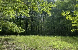 Augusta Road, Jefferson, ME 04348