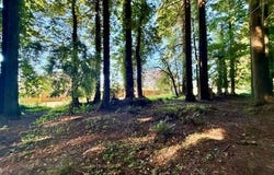 024 Moore Avenue, Eureka, CA 95501