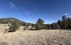 Canyon Rd, Cotopaxi, CO 81223