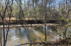 Highway 21, Monroeville, AL 36460