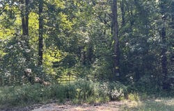 Guthrie Road, PARIS, TN 38242