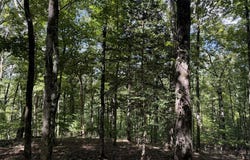 Falcon Overlook lot: 33, Hayesville, NC 20894