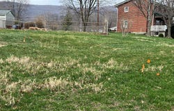 ROSE HILL Drive, RAWLINGS, MD 21557