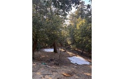 North Rd, Twin Peaks, CA 92391