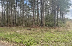 None Yet Forest Drive, Hemingway, SC 29554