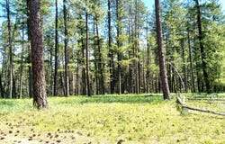 3406 BEITEY Rd, VALLEY, WA 99181