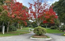 50 Acadia Drive, Marstons Mills, MA 02648