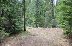 97 Mineral Ln, Sandpoint, ID 83864