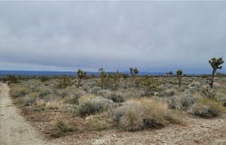 202nd St E & Ave X4, Llano, CA 93544