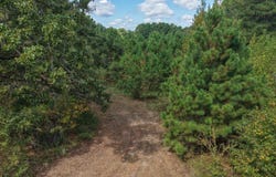 County Road 3209, DeKalb, TX 75559