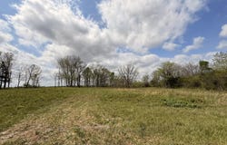 1002 Dys Drive, Cabool, MO 65689