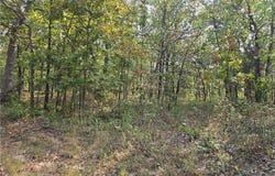 Forbes Road, Edwards, MO 65326