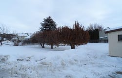 509 S 5th W, Rexburg, ID 83440