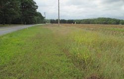 GRAY ROAD lot: 6, DAGSBORO, DE 19939