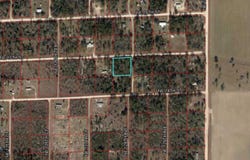 NE 15TH Street, WILLISTON, FL 32696