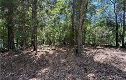 Ashborough Drive lot: 117, Cottondale, AL 35453