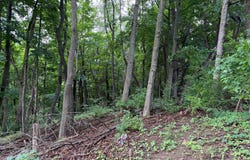 MONROE STREET, EVERETT, PA 15537