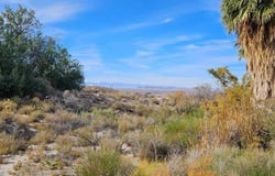 Gold Butte Road, NV 89007