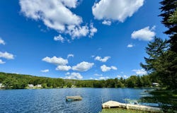 76 S Shore Road, Pleasant Mount, PA 18453